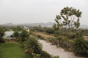 Elle offre une vue sur un jardin avec des palmiers et un chemin. dans l'établissement Farm Aavjo, à Pushkar