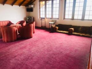 努沃勒埃利耶的住宿－Hikers Inn，带沙发和粉红色地毯的客厅