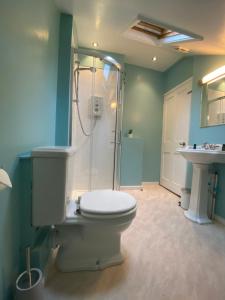 a bathroom with a toilet and a shower and a sink at Three Tuns Ashwell in Ashwell