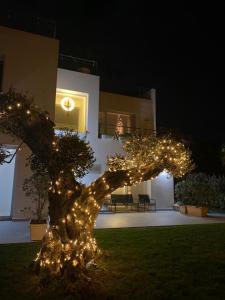 un árbol decorado con luces en un patio por la noche en Cocciu d’amuri, en Terrasini