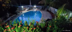 a swimming pool in a yard at night at TI SOLEY Bungalow de charme avec piscine in Bouillante