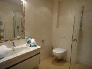 un bagno con wc, lavandino e doccia di Berggasthof Schatzbergalm a Thierbach