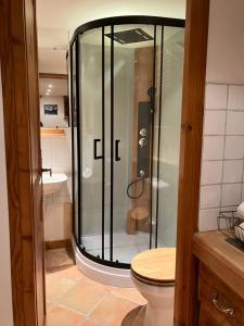 サン・ジェルヴェ・レ・バンにあるMarie Mont Blancのバスルーム(ガラス張りのシャワー、トイレ付)