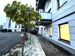 Budova, v ktorej sa apartmán nachádza