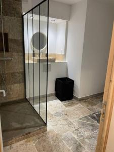 uma casa de banho com uma cabina de duche em vidro e um espelho. em Cosy, 2min Gare, work fun jacuzzi en juin em Bellegarde-sur-Valserine