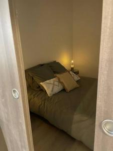 um quarto com uma cama com duas almofadas em Cosy, 2min Gare, work fun jacuzzi en juin em Bellegarde-sur-Valserine
