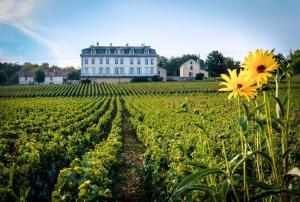 Zahrada ubytování Gites Chateau Comblanchien
