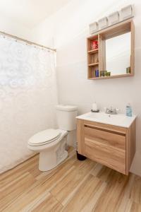 ein Badezimmer mit einem WC, einem Waschbecken und einem Spiegel in der Unterkunft Villas Palmar in Aguadilla