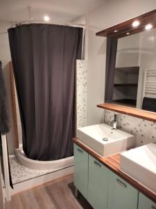 a bathroom with a sink and a shower at Chaleureux gîte situé en plein cœur des Bauges in École