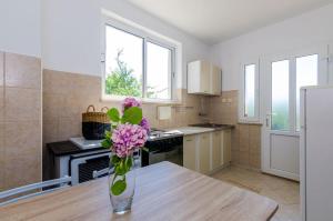 Kuchyň nebo kuchyňský kout v ubytování Apartment Pavo