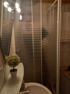 a bathroom with a toilet and a glass shower at Monteur- und Ferienwohnung Waldrauschen in Fehrenbach