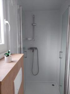 eine Dusche mit Glastür im Bad in der Unterkunft Julija Mobile Lux in Vodice