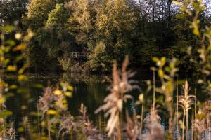 Loodusmaastik of the bed and breakfast lähedal