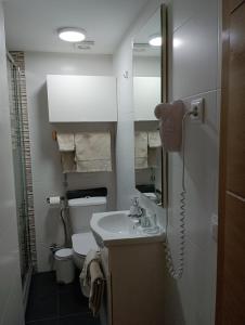 a small bathroom with a sink and a toilet at El Pozo-Villalobos Suite in Madrid