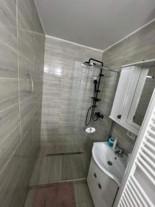 uma casa de banho com um chuveiro e um lavatório. em Top House em Vaslui