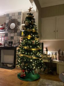 a christmas tree in a room with a kitchen at Chambre privée cosy in Noyon