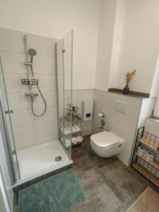 ein Bad mit einer Dusche und einem WC in der Unterkunft Exklusives Apartment im Herzen Saarbrückens in Saarbrücken