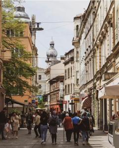un grupo de personas caminando por una concurrida calle de la ciudad en OLD TOWN Sarajevo center apartment 2+2, en Sarajevo