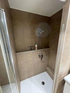 La salle de bains est pourvue d'une douche avec une porte en verre. dans l'établissement Studio cosy vallée de Tarentaise, à Aime La Plagne