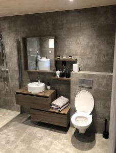 a bathroom with a toilet and a sink at Stugu - Koselig hytte med sentral beliggenhet 