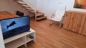 TV a/nebo společenská místnost v ubytování Apartmán Franz Josef