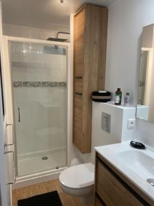 Un baño con ducha, inodoro y lavabo. en Domaine du Bouloy, en Druyes-les-Belles-Fontaines