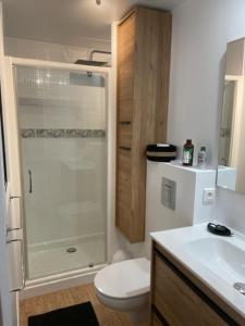 a bathroom with a shower and a toilet and a sink at Domaine du Bouloy in Druyes-les-Belles-Fontaines