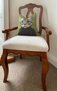 a cat sitting on a chair with a pillow at Plymouth Central Apartments in Plymouth