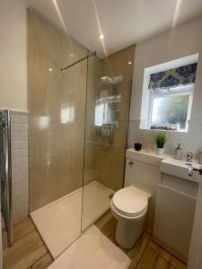 een badkamer met een toilet en een glazen douche bij Bridgend Cottage in Abercraf