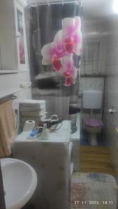 La salle de bains est pourvue d'un lavabo et de toilettes. dans l'établissement Apartman.nemanjica bb, à Nevesinje