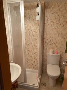 La salle de bains est pourvue d'une douche, de toilettes et d'un lavabo. dans l'établissement Casares Del Sol Apartment Pearl, à Bahia de Casares