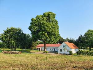 een wit huis met een boom in een veld bij Slotsgaardens feriegård. in Jels