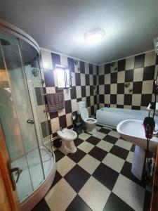 een badkamer met een douche, een toilet en een wastafel bij Cabana Denisa in Rîu de Mori