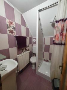 een kleine badkamer met een toilet en een douche bij Cabana Denisa in Rîu de Mori