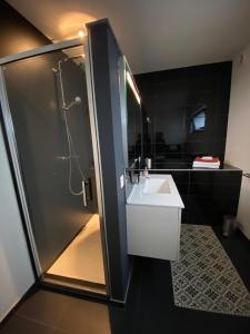 een badkamer met een douche en een witte wastafel bij Studio & Appartement au Lac in Sart-lez-Spa