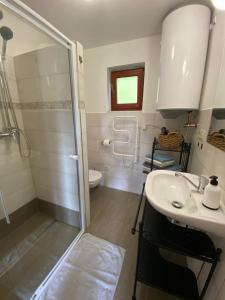 a bathroom with a shower and a sink and a toilet at Evin*raj in Liptovský Mikuláš