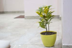 Fotografie z fotogalerie ubytování JSB HOTEL v destinaci Faridabad
