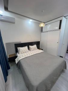 1 dormitorio con 1 cama grande en una habitación en Two-Bedroom Apartment in Saburtalo District, en Tiflis
