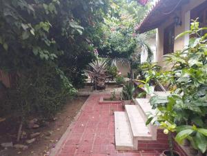 a brick path leading to a house with plants at Cabaña dulce sueños in Taganga