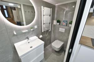 um banheiro com uma pia, um vaso sanitário e um espelho em Clara - Modern Loft Sorbonne Notre-Dame Historic em Paris mais 27 fotografias