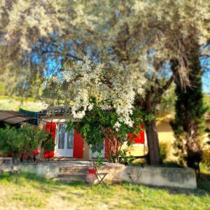 una pequeña casa con una puerta roja y un árbol en L'Oustaou du Luberon et SPA, en Villelaure