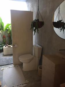 a bathroom with a toilet and a mirror and plants at Casa_Paki in Zihuatanejo