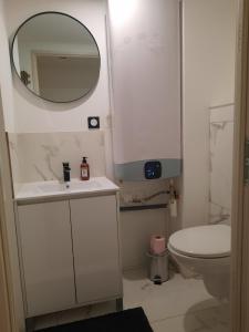 ein Badezimmer mit einem weißen WC und einem Spiegel in der Unterkunft Les Charmes de Trévoux in Trévoux