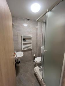 La salle de bains est pourvue de toilettes, d'un lavabo et d'une douche. dans l'établissement Villa Sonia, à Hévíz