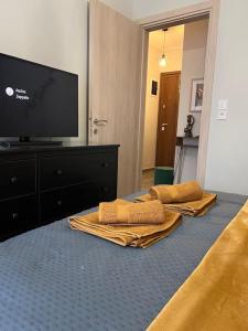 a bedroom with two blankets and a television on a bed at Luxury Privé Penthouse in Serres
