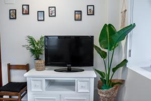 una TV seduta sopra un mobile bianco con piante di Apartamento en Mioño a Castro-Urdiales