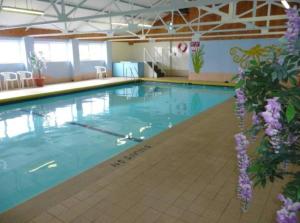 a large swimming pool with blue water and purple flowers at Gorgeous Gower Chalet in Swansea