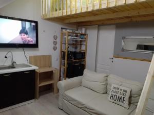 un soggiorno con divano e TV a schermo piatto di Apartament with nice city view a Dezmir