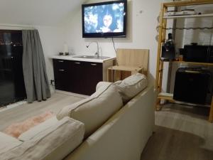 a living room with a couch and a flat screen tv at Apartament with nice city view in Dezmir