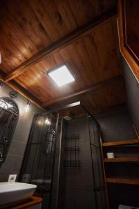 a bathroom with a shower and a sink and a ceiling at Unique hunter's hut concept tiny house 